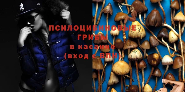 apvp Абаза
