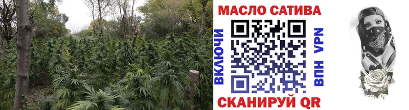 ТГК Wax  Цоци-Юрт 