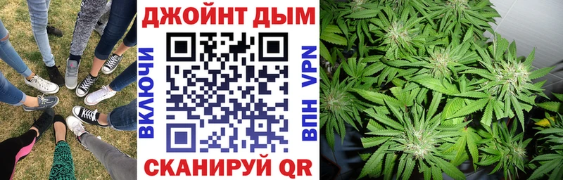 Конопля MAZAR Цоци-Юрт